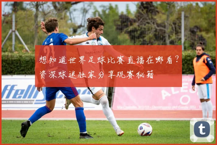 想知道世界足球比赛直播在哪看？资深球迷独家分享观赛秘籍