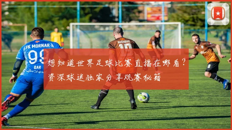 想知道世界足球比赛直播在哪看？资深球迷独家分享观赛秘籍